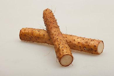 类宝可梦新作《Nexomon 3》公布 Steam页面上线